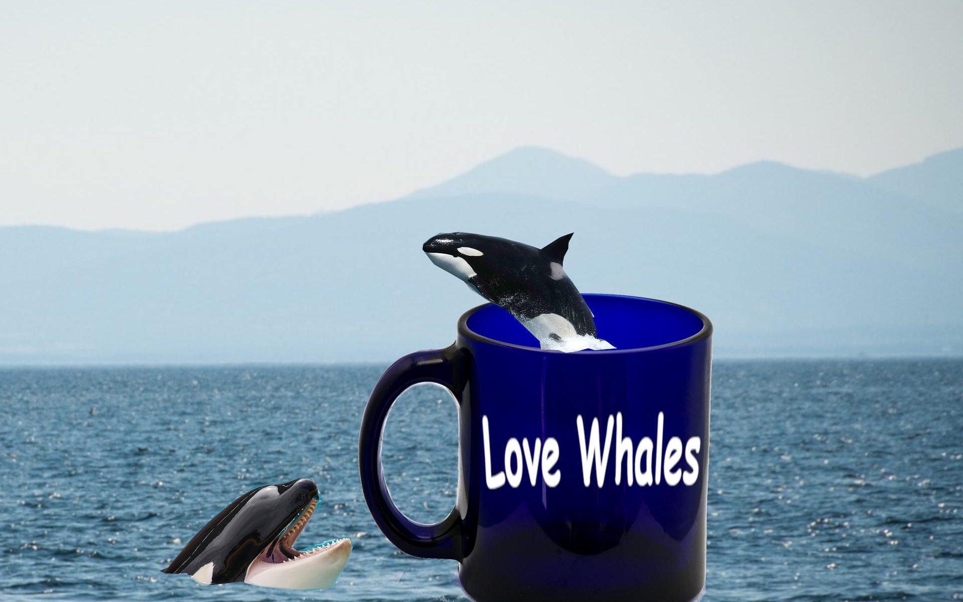 Whale Mugs