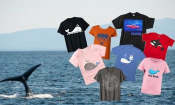 Whale Shirts