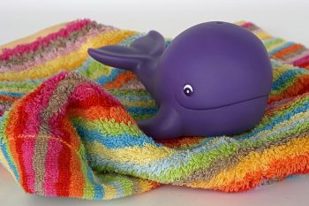 Whale Toys