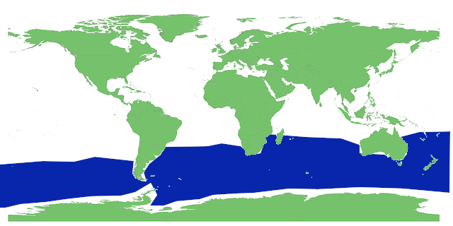 southern right whales habitat