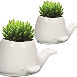 GeLive Set of 2 Whale White Ceramic Succulent Planter Air Plant Pot Window Box Decorative Container, 4 Inch, Indoor Outdoor Usage