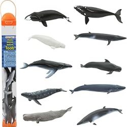 Safari Ltd. Whale TOOB Figurine Set - Detailed 2.5"-4" Plastic Model Figures - Fun Educational Ocean Animal Play Toy for Boys, Girls & Kids Ages 3+