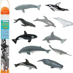Safari Ltd. Whales & Dolphins TOOB - 12 Mini Figurines: Blue, Beluga, Gray, Killer, Humpback & Sperm Whale, Bottlenose, Common, Spotted Dolphins, Narwhal - Educational Toy Boys, Girls & Kids Ages 3+