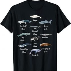 Types Of Whales Watercollor Cute Ocean Mammals Guide T-Shirt