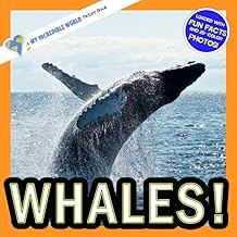 Whales!: A My Incredible World Picture Book for Children (My Incredible World: Nature and Animal Picture Books for Children)