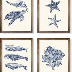 Navy Blue Nautical Themed Wall Art - Starfish Turtle Grass Whale Poster Print - Beige Ocean Sea Creature Picture Beach Cabin - Rustic Farmhouse Kitchen Bathroom - Vintage Gift Small Coastal Wall Decor