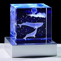 YWHL 3D Crystal Whale Gifts for Women Men, Laser Engraved Whales Figurine with Colorful Light Base, Animal Collection Decor for Home Office, Idea Birthday Present for Whale Lovers