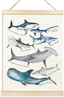 TAEDIN Watercolor Shark Ocean Animal Chart Poster Hanger Frame, Educational Shark Decor Wood Wooden Canvas Artwork Print, Sea Life Wall Painting for Home Bedroom Classroom Library Dorm Decor 12X16