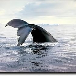 Underwater Animal Whale Tail Wall Decor Picture Ocean Humpback Breaching Sealife Art Print Poster (16x20)